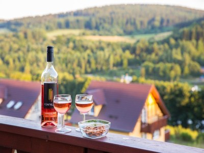 Holiday park Villa with bubble bath, solarium and fireplace - Outdoor photo 29