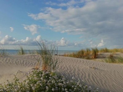 Holiday park Quend-Plage Apartment mit Pool - Environment photo 14