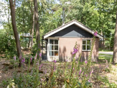 Holiday park Bungalow in Park De Peel - Car-Free Retreat - Outdoor photo 2