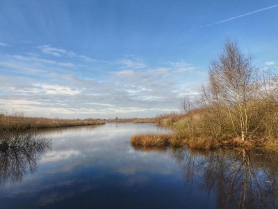 Holiday park Bungalow in Park De Peel - Car-Free Retreat - Environment photo 14