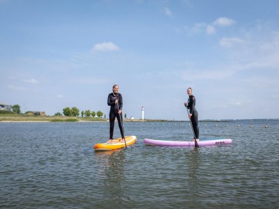 Holiday park Villa in Hellevoetsluis near North Sea Beach - Environment photo 28