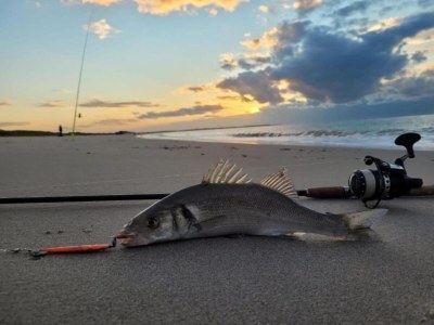 Holiday park Ferienhaus in Kamperland am Strand - Environment photo 21