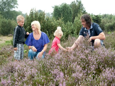 Holiday park Bungalow in De Peel am ruhigen Wald - Environment photo 18