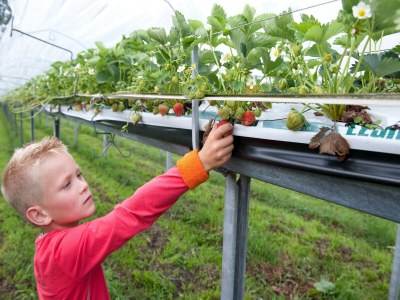 Holiday park Bungalow in De Peel am ruhigen Wald - Environment photo 19