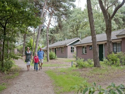 Holiday park Bungalow in De Peel am ruhigen Wald - Environment photo 20