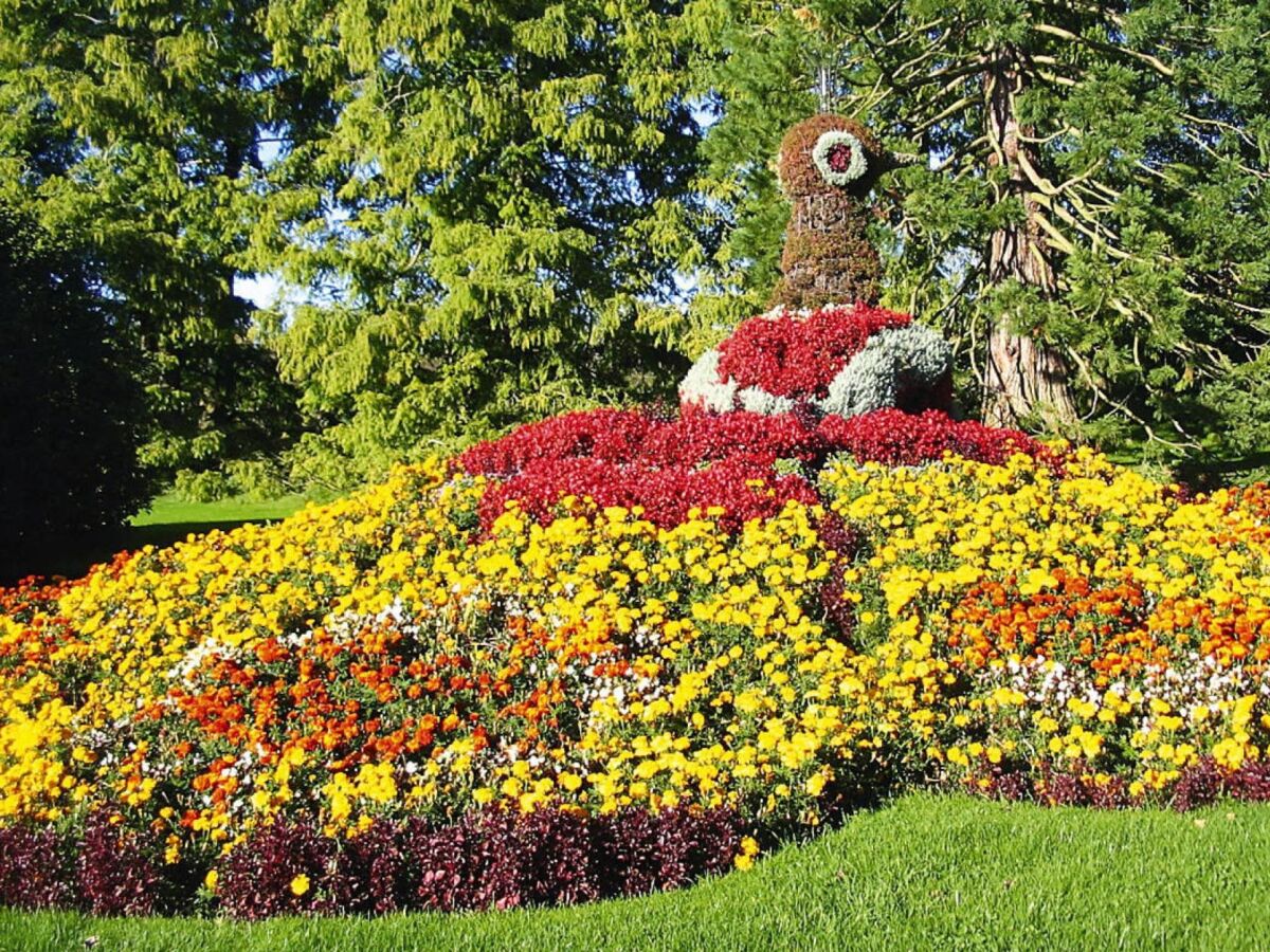 Holiday park Feriendorf Öfingen, Bad Dürrheim - Outdoor photo 3