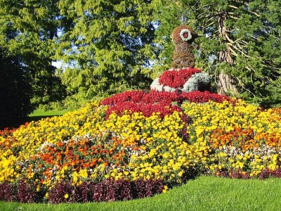Holiday park Feriendorf Öfingen, Bad Dürrheim - Outdoor photo 3