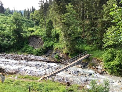 Apartment Chalet in Dienten mit Bergblick - Environment photo 26