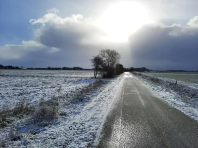 Holiday house Friesenhaus nahe Wattenmeer Welterbe - Environment photo 21