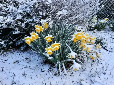 Holiday house Friesenhaus nahe Wattenmeer Welterbe - Outdoor photo 23