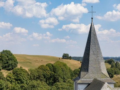 Holiday park Bungalow in Eifelpark near Kronenburger Lake - Outdoor photo 26