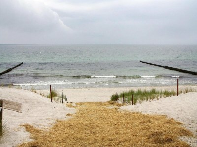 Apartment Ferienpark Markgrafenheide - Environment photo 12