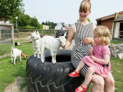 Holiday park Chalet in Arcen with Private Terrace - Outdoor photo 22