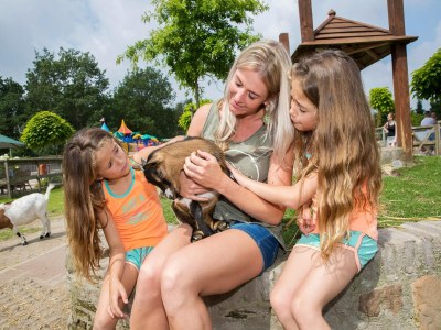 Holiday park Family & Pet Escape | Arcen - Outdoor photo 39