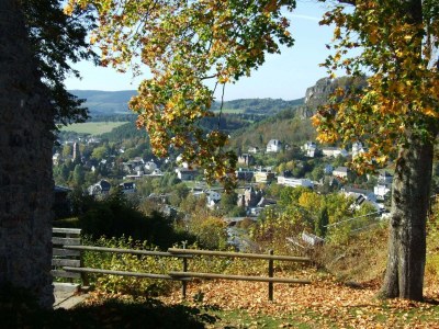 Holiday park Bungalow in der Eifel am Waldrand - Environment photo 33