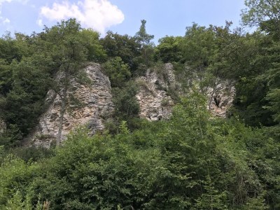 Holiday park Bungalow in der Eifel am Waldrand - Environment photo 35