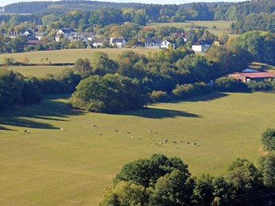 Holiday park Bungalow in der Eifel am Waldrand - Environment photo 36