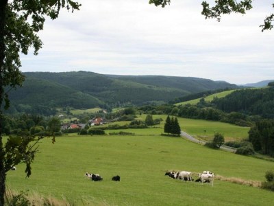 Holiday park Bungalow in der Eifel am Waldrand - Environment photo 38