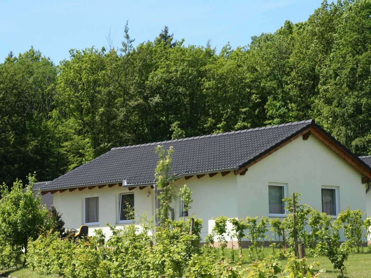 Holiday park Bungalow in Eifel near Mountain Trails - Outdoor photo 4