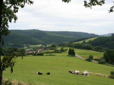 Holiday park Bungalow in Eifel near Mountain Trails - Environment photo 13