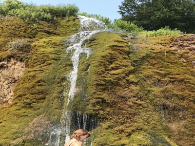 Holiday park Bungalow in Eifel near Mountain Trails - Environment photo 21