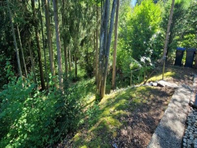 Holiday park Bungalow in Eifel near Mountain Trails - Environment photo 26