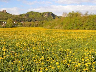 Holiday park Bungalow in Eifel near Mountain Trails - Environment photo 29