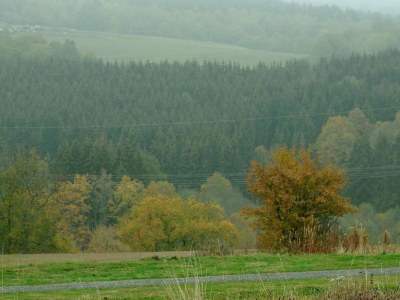 Holiday park Bungalow in Eifel near Mountain Trails - Environment photo 30