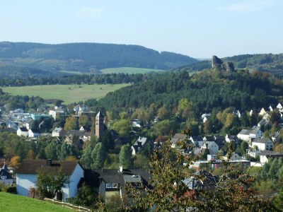 Holiday park Bungalow in Eifel near Mountain Trails - Environment photo 33