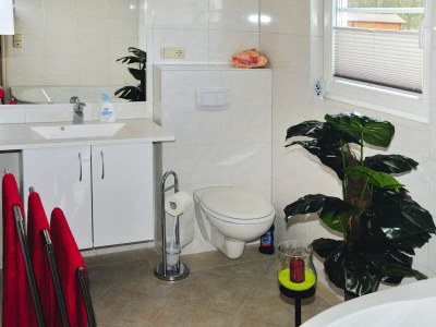 Holiday house Ferienhaus mit Sauna am Dümmer See - Features photo 10