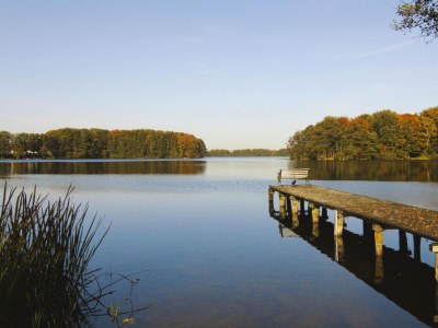 Holiday house Ferienhaus mit Sauna am Dümmer See - Outdoor photo 16