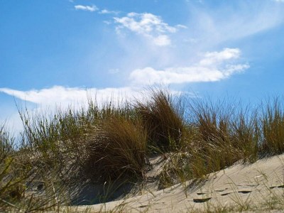 Holiday house Doppelhaus in Oldsum auf Foehr - Environment photo 20