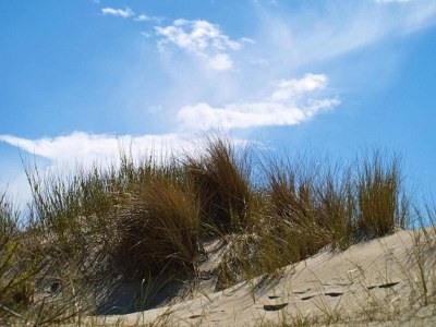 Holiday house Doppelhaus in Oldsum auf Foehr - Environment photo 28