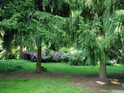 Holiday park Moderner Bungalow mit Waschmaschine - Environment photo 12