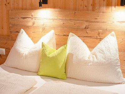 Holiday house House in Zell am Ziller with Panoramic Views - Features photo 33