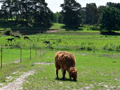 Holiday house Reihenhaus am Gardersee - Environment photo 32