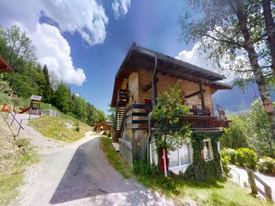 Apartment Chalet in Wildkogel near Ski Slopes - Outdoor photo 2