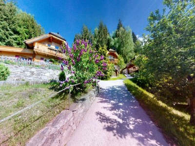 Apartment Chalet in Wildkogel near Ski Slopes - Outdoor photo 6