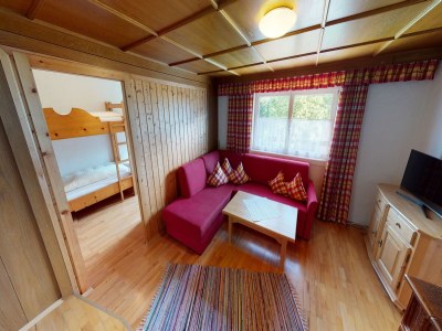 Apartment Chalet in Wildkogel near Ski Slopes - Features photo 8