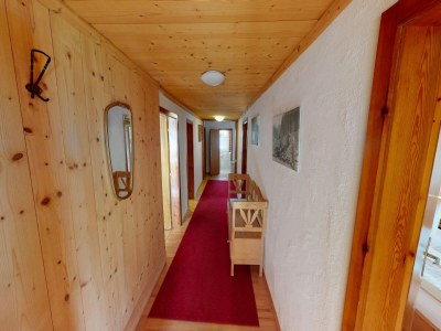 Apartment Chalet in Wildkogel near Ski Slopes - Features photo 9