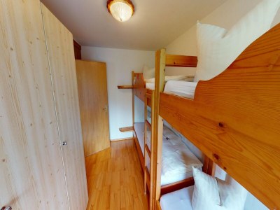 Apartment Chalet in Wildkogel near Ski Slopes - Features photo 11