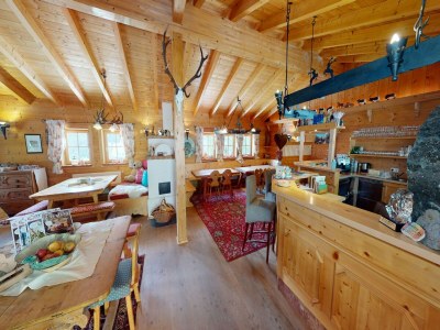 Apartment Chalet in Wildkogel near Ski Slopes - Features photo 13