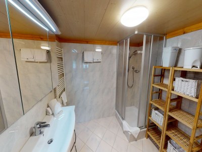 Apartment Chalet in Wildkogel near Ski Slopes - Features photo 14