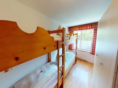 Apartment Chalet in Wildkogel near Ski Slopes - Features photo 16