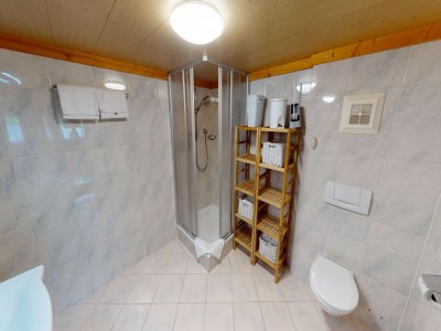 Apartment Chalet in Wildkogel near Ski Slopes - Features photo 18