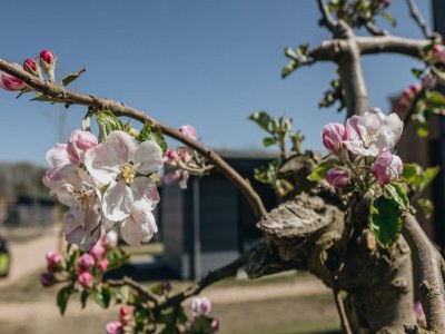 Holiday park Lodge am Markermeer mit nachhaltigem Design - Environment photo 8