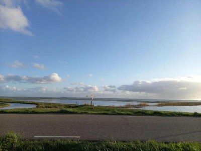 Holiday park Lodge am Markermeer mit nachhaltigem Design - Environment photo 17