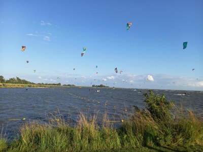 Holiday park Lodge am Markermeer mit nachhaltigem Design - Environment photo 30