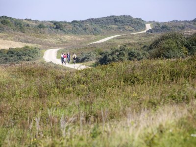 Holiday park Villa in Zeeland near Dunes - Environment photo 15