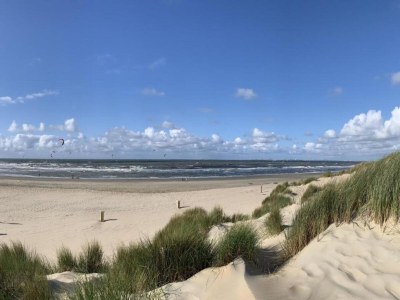 Holiday park Villa in Zeeland near Dunes - Environment photo 20